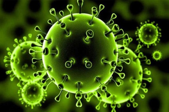 Impact of (Covid-19) on the Activities of the Center